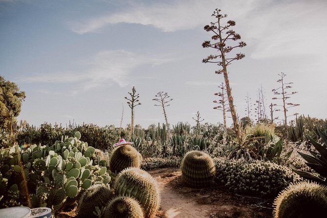 Garden Entry Ticket - Who Will Love Cactus Country?