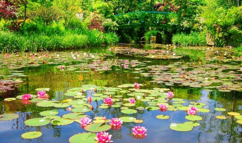 Garden Museum Hiei - How to pace the visit