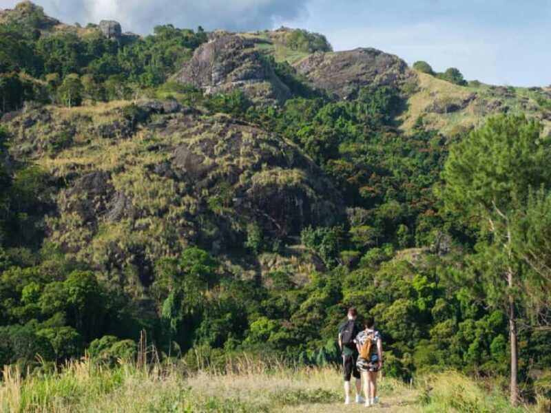 Garden of Sleeping Giant with Tifajek Mudpool Hotspring Tour - A Detailed Look at the Tour Experience