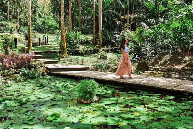 Garden of Sleeping Giant with Tifajek Mudpool Hotspring Tour - Final Summary