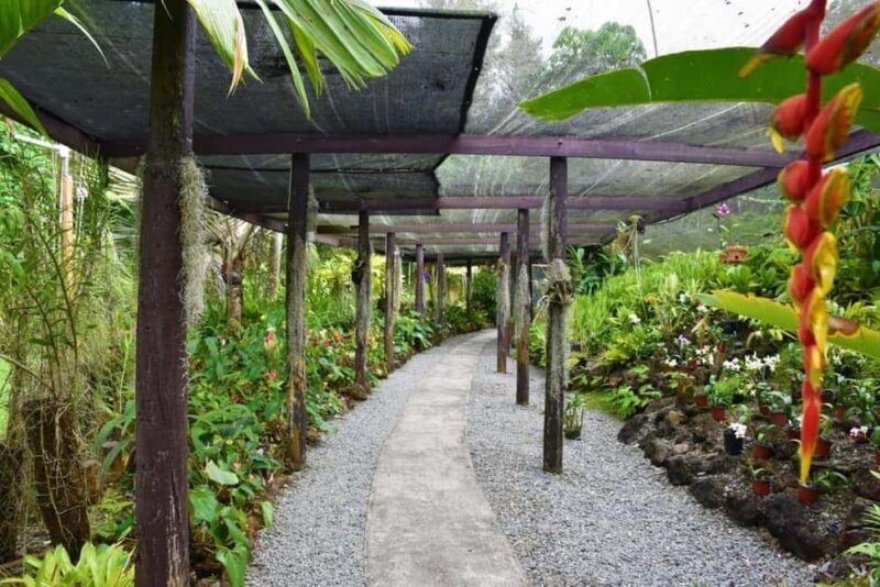 Garden of Sleeping Giant with Tifajek Mudpool Hotspring Tour - FAQ
