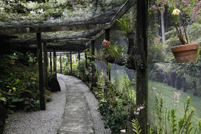 garden of the sleeping giant and mudpool tour combo - Authentic Experiences and Genuine Value