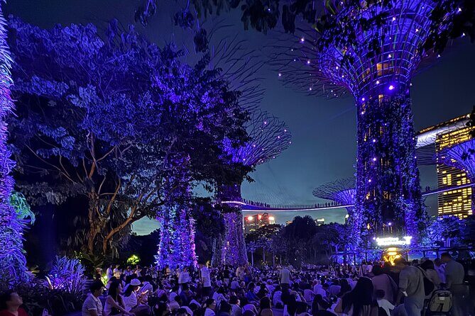 Garden Rhapsody, Spectra Show & Singapore River Cruise Night Tour - Key Points