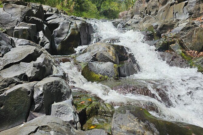 Gardens and Nature Chauffeur Adventures St. Lucia - A Deep Dive into the Experience