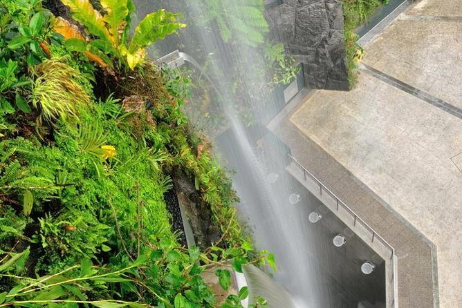 Gardens By the Bay Exp Event - A Deep Dive into the Gardens by the Bay Tour Experience