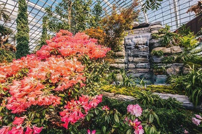 Gardens By The Bay Ticket - Final Thoughts: Is This Tour for You?