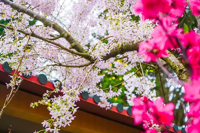 Gardens by the Bay Tickets: Cloud Forest & Flower Dome - Final Thoughts