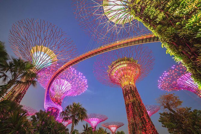 Gardens by the Bay with 2 Flower Dome + Marina Bay Sands Skypark - Key Points