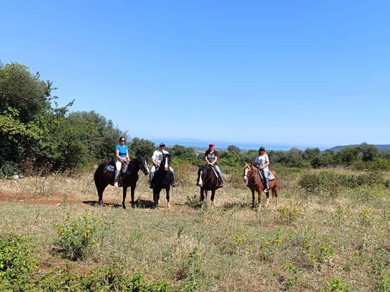 Gargano National Park: horseback riding - Gargano National Park: Horseback Riding - A Genuine Italian Nature Experience