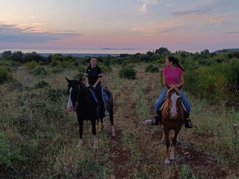 Gargano National Park: horseback riding - FAQ
