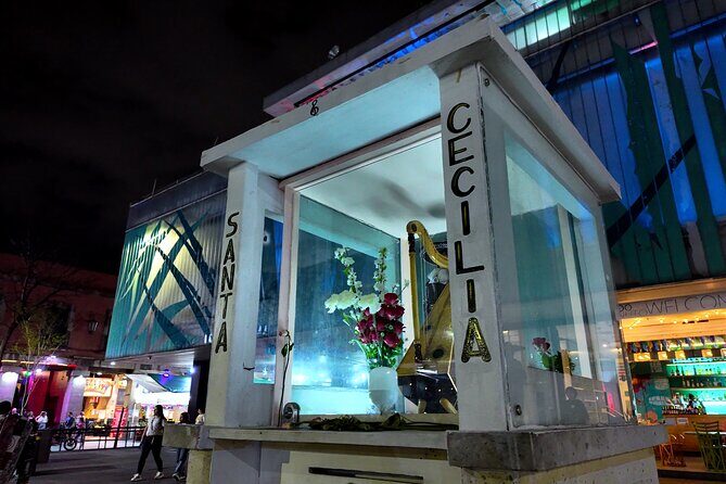 Garibaldi Nights Tour - Discover the Charm of Mexico City with the Garibaldi Nights Tour