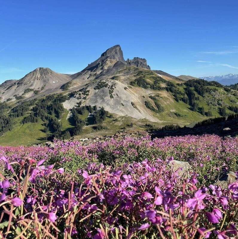 Garibaldi Park/ Panorama Ridge/ Hiking Day Trip - Who Will Love This Tour?