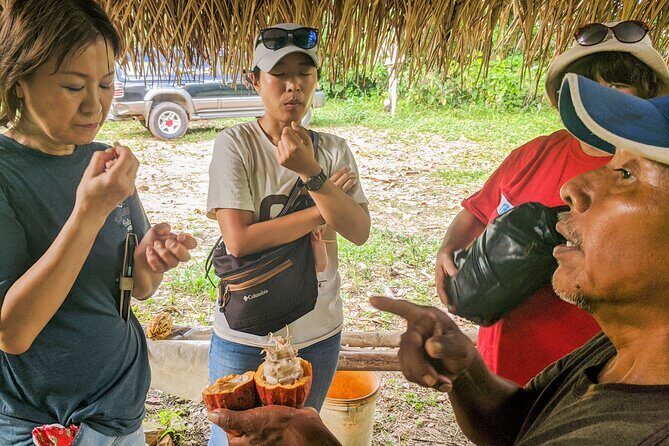 Garifuna and Mayan Full Day Cultural Foodie Tour Hopkins Belize - FAQ