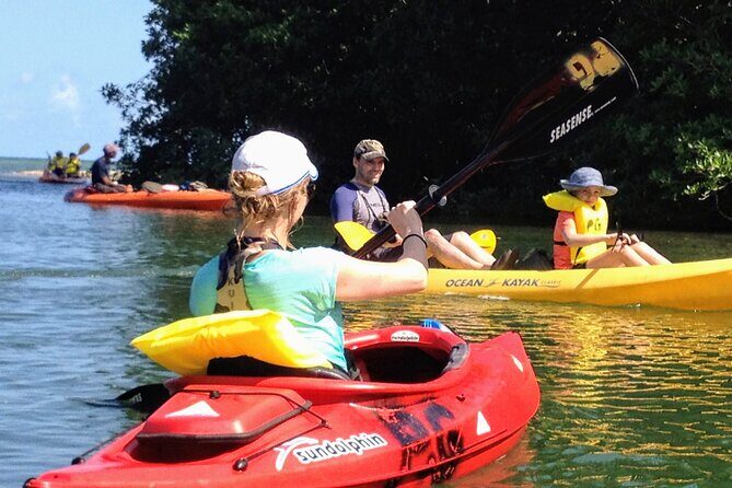 Garifuna Cultural and Culinary Experience in Hopkins Belize - Key Points