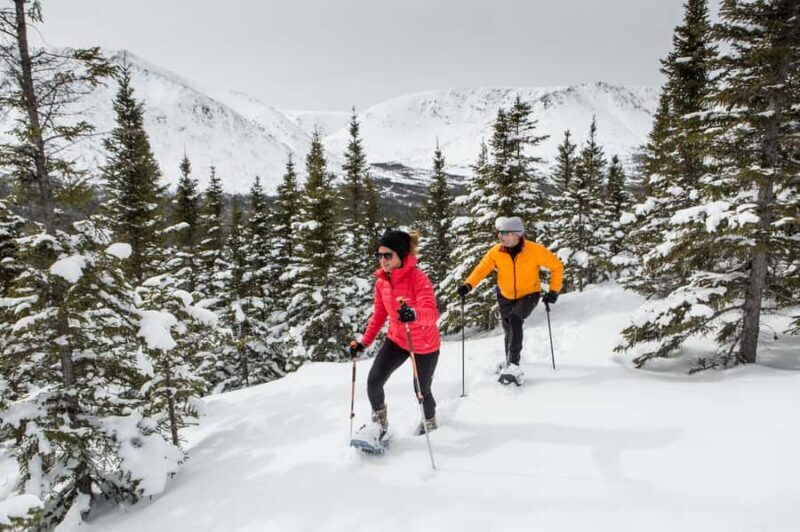 Gaspésie: National Park Entry Ticket with Snowshoe Rental - Gaspésie: National Park Entry Ticket with Snowshoe Rental — A Practical Guide for Adventurers