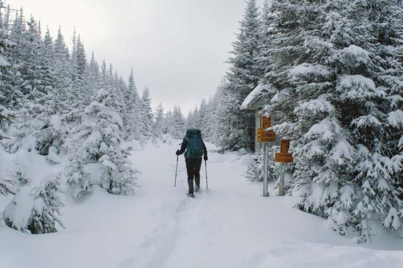 Gaspésie: National Park Entry Ticket with Snowshoe Rental - The Experience at the Discovery Center