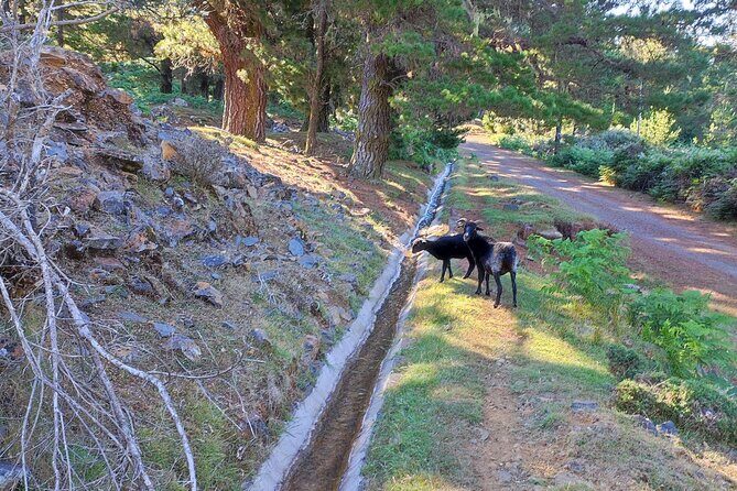 Gastro hike (Private Tour) - Detailed Itinerary Breakdown
