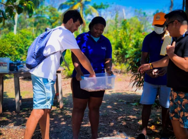 Gastronomic and musical experiences in San Andres Rondontour - FAQ