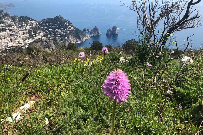 Gastronomic Hike on the Path of the Gods with Food Tasting - Who Will Love This Tour?