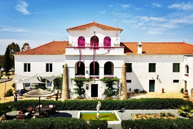 Gastronomic Wine tasting in Mértola, Alentejo - The Essentials of the Mértola Wine Tasting Experience
