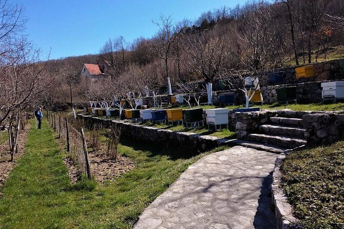 Gastronomy and Sightseeing in Montenegro - Lake Skadar & Cetinje Private Tour - Exploring Montenegro’s Flavors and Scenery: A Detailed Look at the Lake Skadar & Cetinje Private Tour