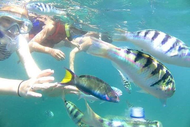 Gate Heaven Tirta Gangga With Snorkeling Private Guided Tour - Who Will Love This Tour?