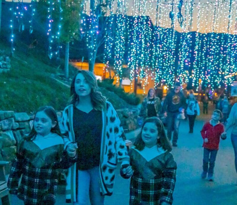 Gatlinburg: Anakeesta Adventure Park Entry Ticket - Key Points