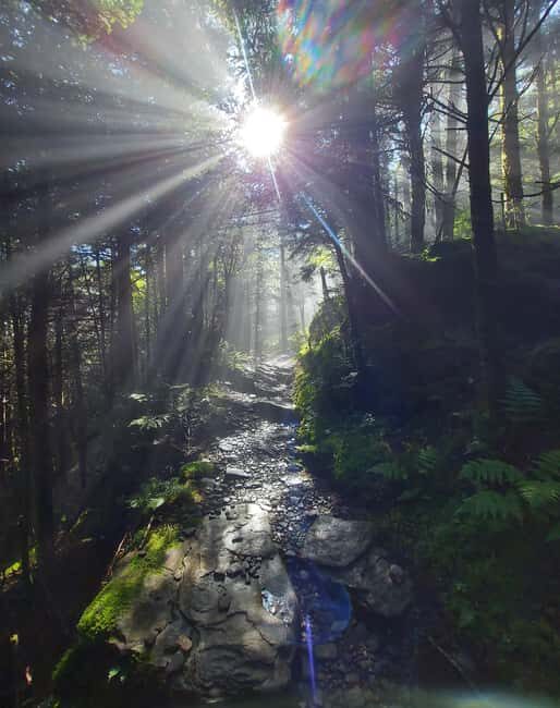 Gatlinburg: Smoky Mountain Appalachian Bald Guided Hike - A Detailed Look at the Appalachian Bald Guided Hike