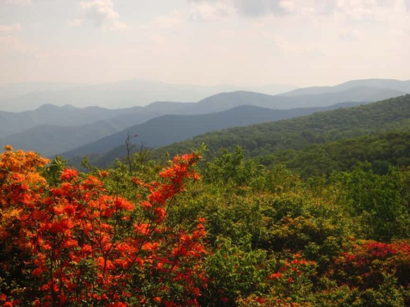 Gatlinburg: Smoky Mountain Appalachian Bald Guided Hike - Practical Tips for Your Hike