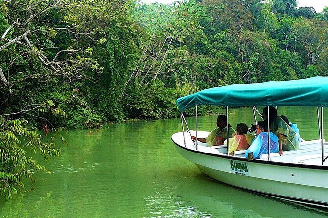 Gatun Lake Boat Adventure from Panama City - Key Points