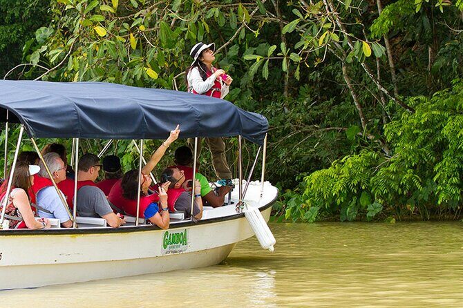 Gatun Lake Boat Adventure from Panama City - Who Will Love This Tour?
