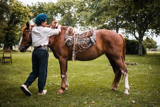 Gaucho Day Tour Ranch at an Estancia from Buenos Aires - A Deep Dive into the Gaucho Day Tour Experience