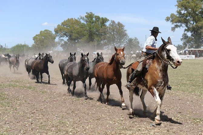 Gaucho Experience: A Day Trip to Don Silvano Ranch - Authenticity and Value
