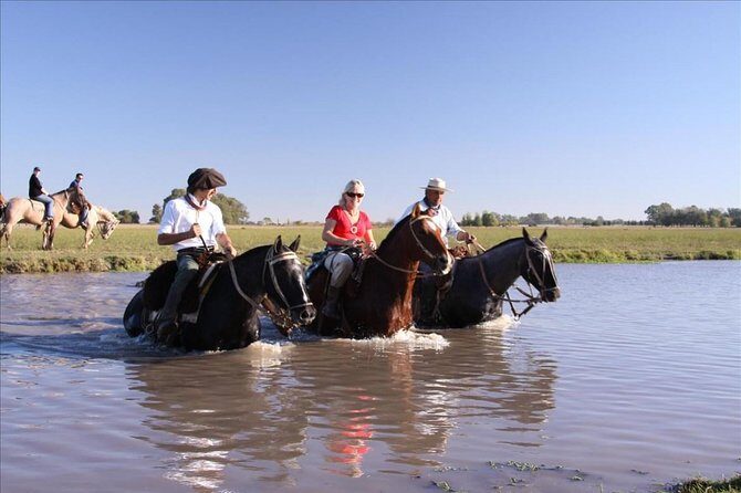 Gaucho Small-Group Full Day at a Farm in Buenos Aires - Key Points