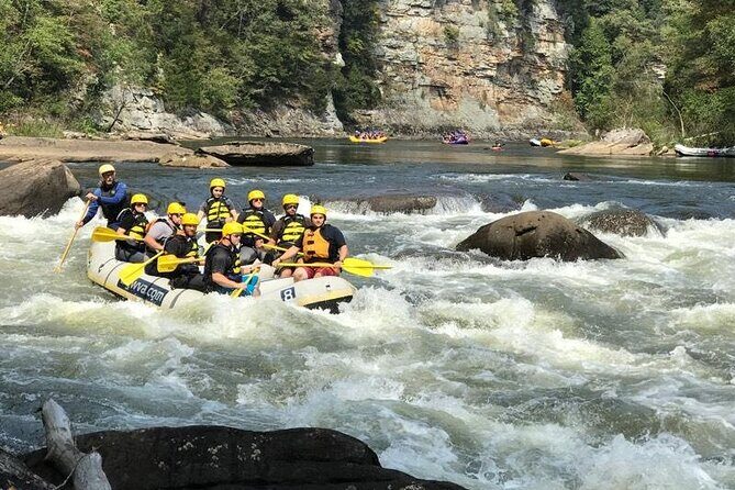Gauley River Whitewater Rafting Marathon (Fall Only) - Who Will Love This Trip?