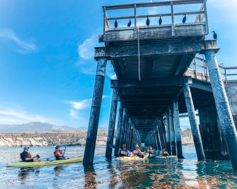 Gaviota Coast Near Santa Barbara: Kayak Tour (3.5 Hours) - Key Points