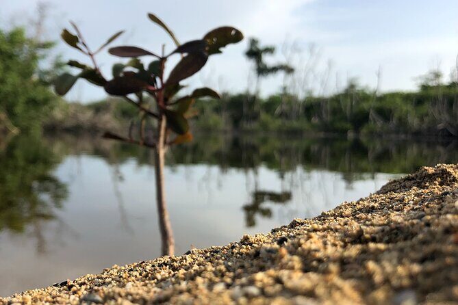 Gay Beach Adventure Queer Friendly Getaway in Puerto Rico Tour - The Sum Up: Is This Tour for You?