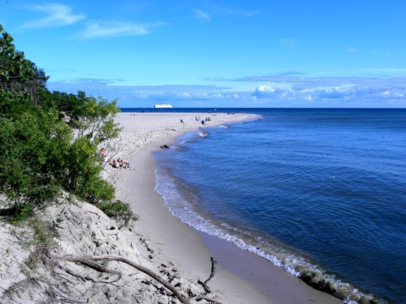 Gdansk Hel Peninsula Private Guided Tour with Cruise or Car - Summing Up: Who Is This Tour For?