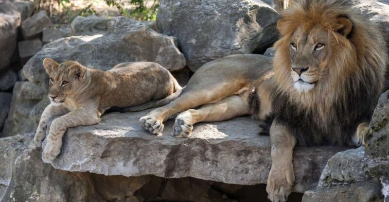 Gdansk: Oliwa Zoo with Tickets and Roundtrip Transportation - Key Points