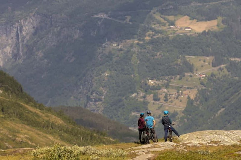 Geiranger Fjord: Downhill Self-Guided Bike Tour - Authentic Feedback from Past Participants