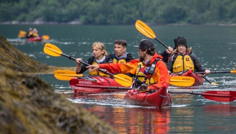 Geiranger: Kayak tour with guide - What to Expect: A Detailed Look at the Tour
