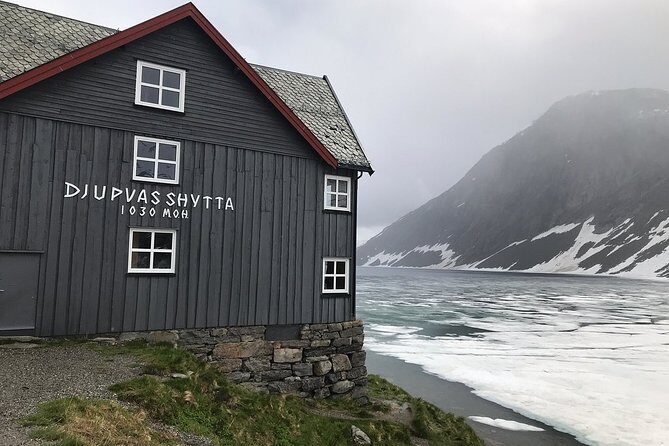 Geiranger Shore Excursion: Mt. Dalsnibba and Eagle Road - Who Will Love This Tour?