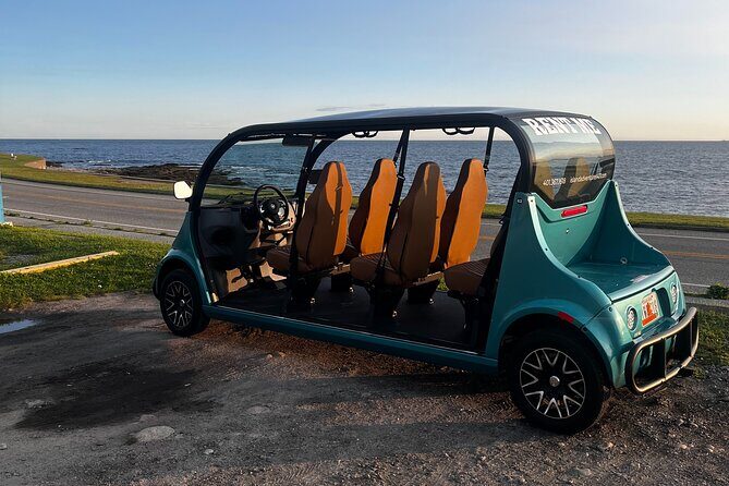 Gem Open Air EV Rental in Newport - Key Points