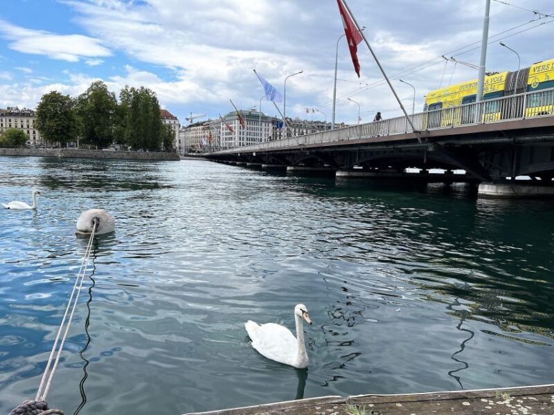 Geneva Complete Tour. Hotel PICK-UP, UN area & the Old City - FAQ