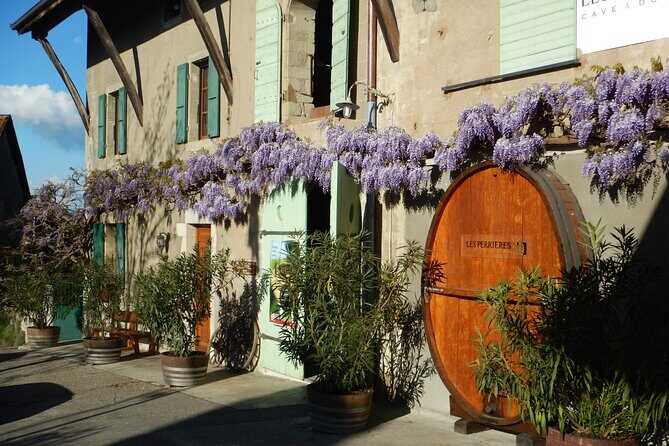 Geneva Countryside By E-Bike With Wine Tasting - Key Points