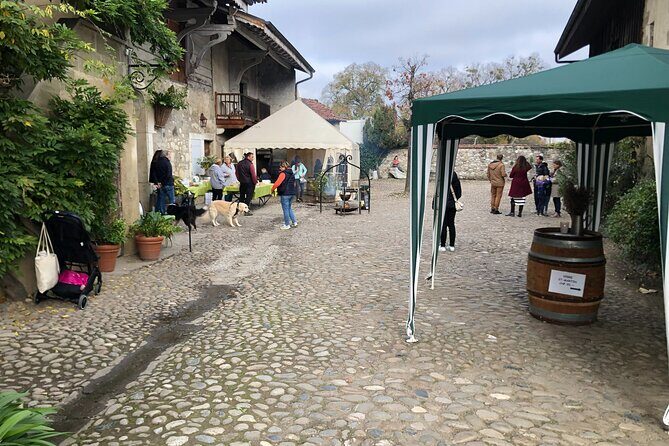 Geneva Countryside By E-Bike With Wine Tasting - Authentic Experiences and Considerations