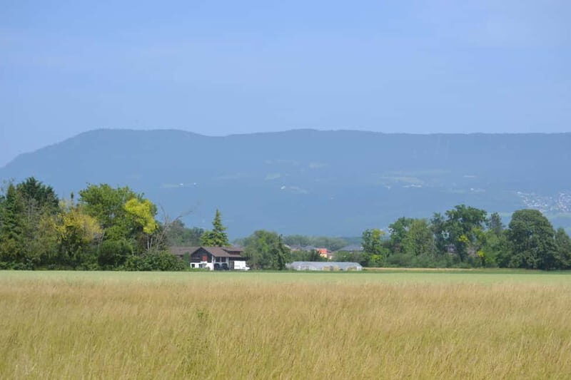 Geneva Countryside, Wine Tasting, Aperitif, Castle By E-bike - Frequently Asked Questions (FAQs)
