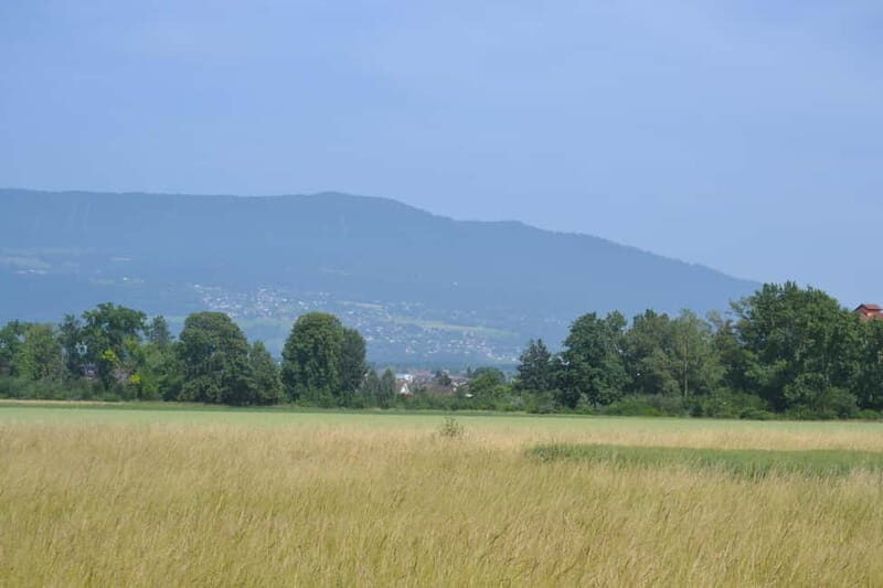Geneva Countryside, Wine Tasting, Aperitif, Castle By E-bike - Final Thoughts