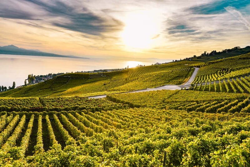 Geneva: Montreux, Chaplins World, Chillon Castle & Apéritif - An In-Depth Look at the Geneva: Montreux Tour