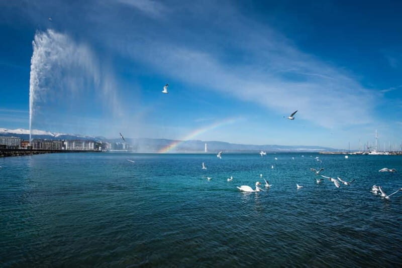 Geneva: Open-Top Sightseeing Bus Tour - What Travelers Say: Authentic Perspectives